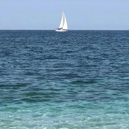 In With Wifi * Ricadi